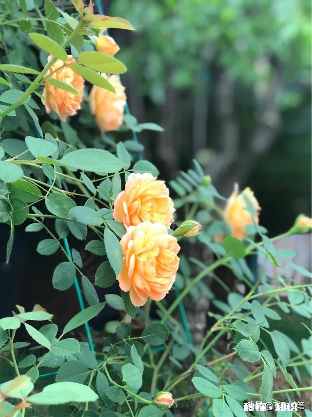 陌生人，可以送我一句你一直很受用的话么