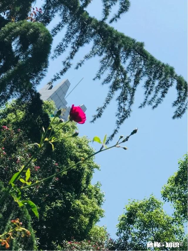 陌生人，可以送我一句你一直很受用的话么