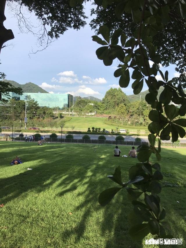 在饭店吃饭点一个菜会很丢人吗