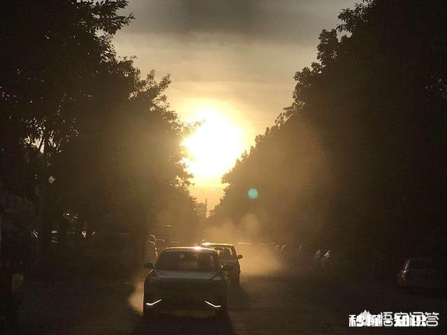 在饭店吃饭点一个菜会很丢人吗