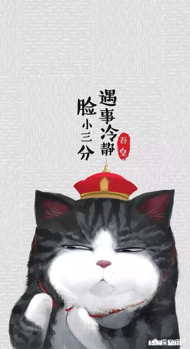 在饭店吃饭点一个菜会很丢人吗