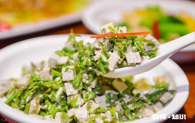 到了吃香椿的季节了，怎样吃更美味可口