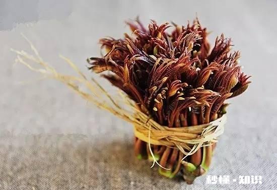 到了吃香椿的季节了，怎样吃更美味可口