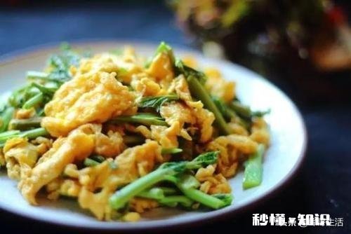 到了吃香椿的季节了，怎样吃更美味可口