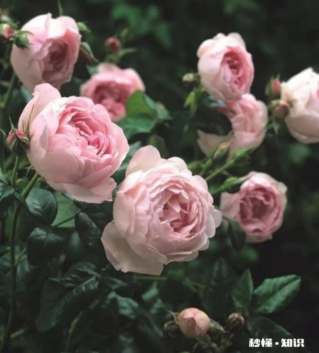 有人说“人在没钱时，会发现很多朋友都是假的，很多无奈都是现实”对此你怎么看