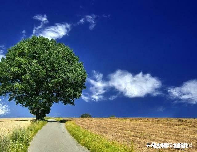 有人说“人在没钱时，会发现很多朋友都是假的，很多无奈都是现实”对此你怎么看