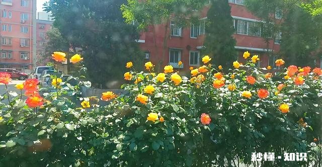 有人说“人在没钱时，会发现很多朋友都是假的，很多无奈都是现实”对此你怎么看