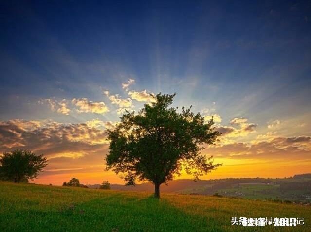 有人说“人在没钱时，会发现很多朋友都是假的，很多无奈都是现实”对此你怎么看