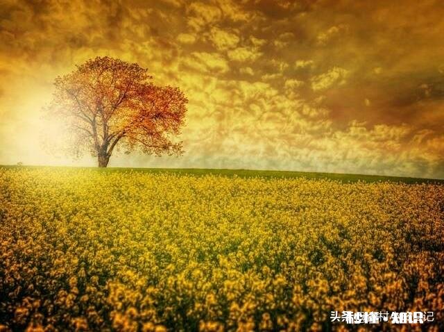 有人说“人在没钱时，会发现很多朋友都是假的，很多无奈都是现实”对此你怎么看