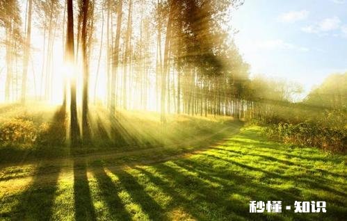 和男友出去旅行应该注意什么