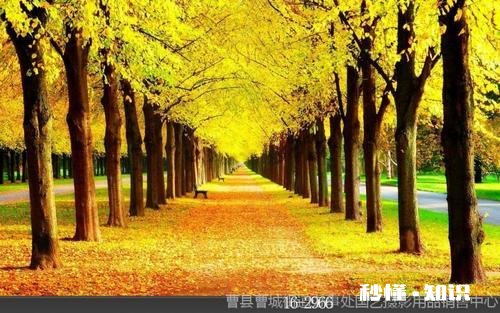 和男友出去旅行应该注意什么