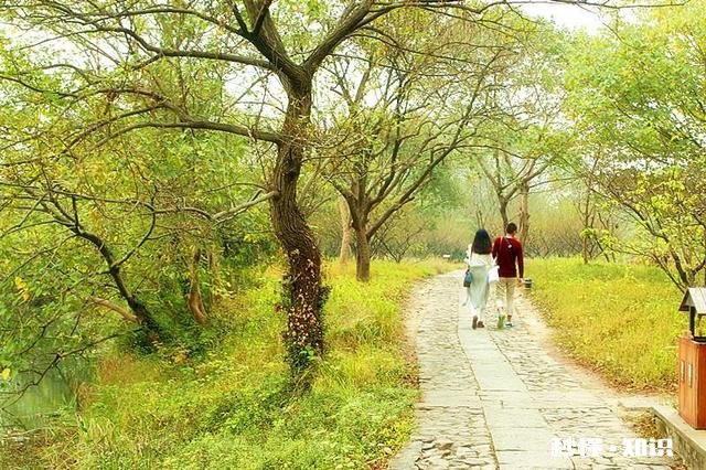 和男友出去旅行应该注意什么