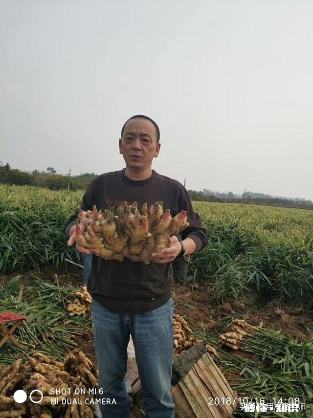 感谢我的后半生还有你疼我。这句话的含义是什么