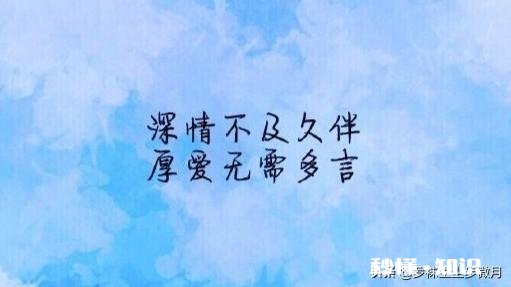 感谢我的后半生还有你疼我。这句话的含义是什么