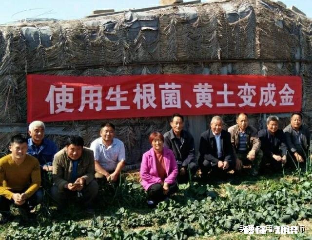 感谢我的后半生还有你疼我。这句话的含义是什么