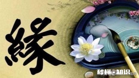 感谢我的后半生还有你疼我。这句话的含义是什么