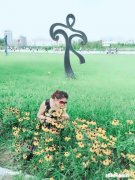 大红色毛衣和公主粉色毛衣哪个更显皮肤白