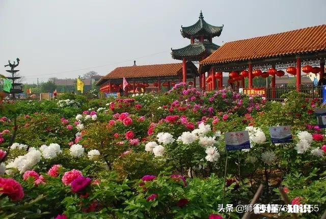 疫情后菏泽房价会降吗