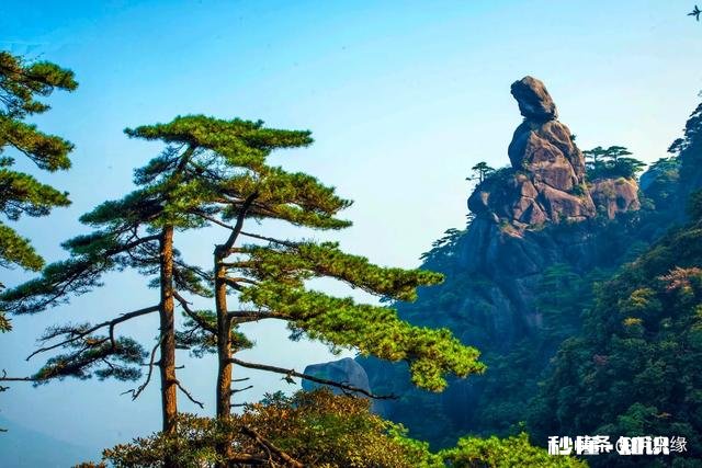 孩子没有主见怎么办,有和我一样的家长吗