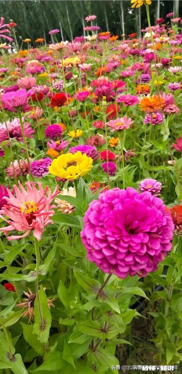 夫妻恩爱好好说话是基础，没基础其他条件再好可能也不会幸福，对吗