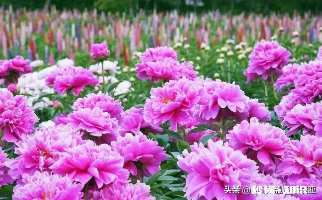 你是因为什么而面对现实的