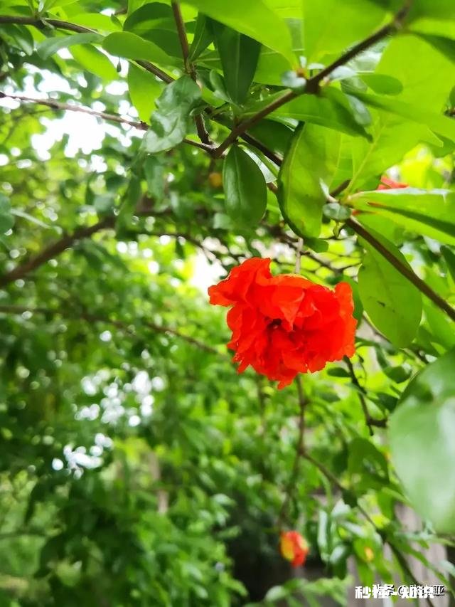 你是因为什么而面对现实的