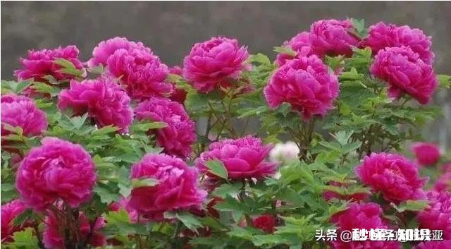 你是因为什么而面对现实的