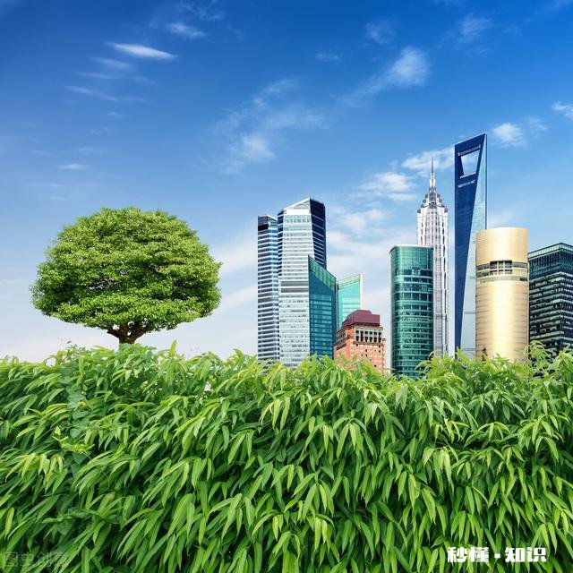 2021年苗木市场行情怎么样