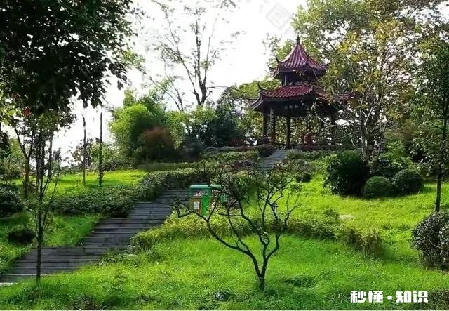 2021年苗木市场行情怎么样