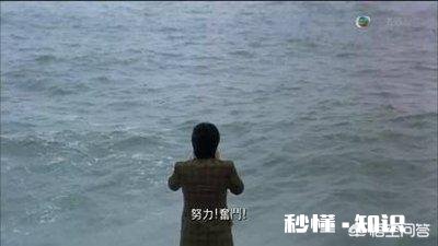 你认为是周星驰和张柏芝的《喜剧之王》好看还是王宝强和鄂博的《新喜剧之王》好看