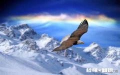 审计如何界定项目前期费用