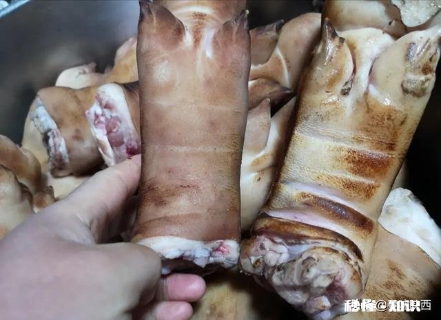 冷冻后如何区分进口猪蹄与国产猪蹄