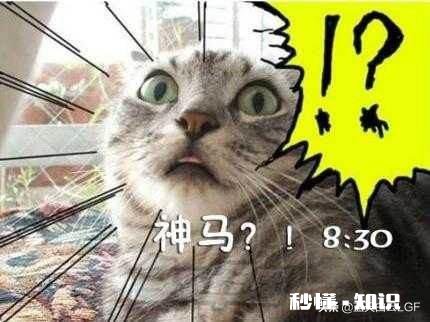 为什么有时候我们那么努力，却得不到别人的认可