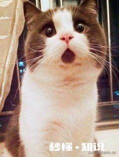 为什么有时候我们那么努力，却得不到别人的认可