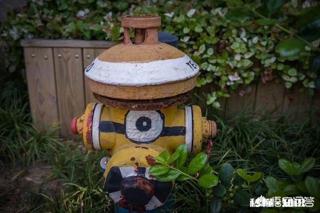 你的理想实现比例达到多少你会窃喜