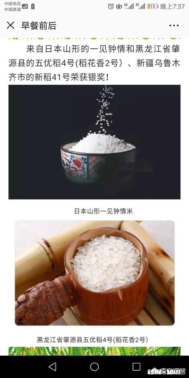 全球最有名的大米是哪里的