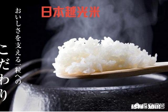 全球最有名的大米是哪里的