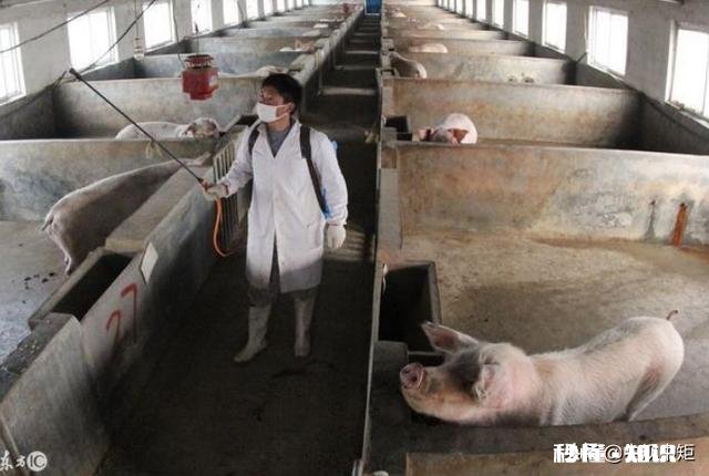 养殖业容易遭受哪些天灾都是怎样防护和应对的