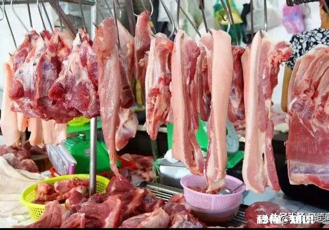 养殖业容易遭受哪些天灾都是怎样防护和应对的