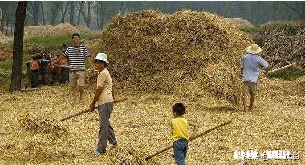 我们小时候，顶着太阳奔跑一撒欢儿就是一天，为啥从不怕热儿时的夏天，你记得多少