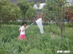 我们小时候，顶着太阳奔跑一撒欢儿就是一天，为啥从不怕热儿时的夏天，你记得多少