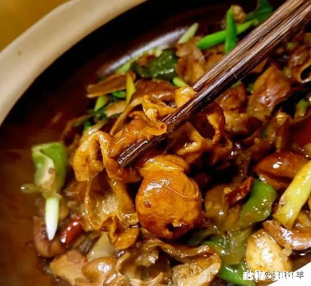 肥肠同什么搭配才更出彩