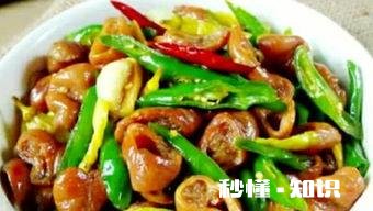 肥肠同什么搭配才更出彩