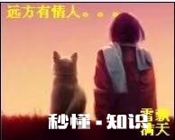 朋友说以前你是他梦中情人。后来你发现他老婆很像你。你会怎样