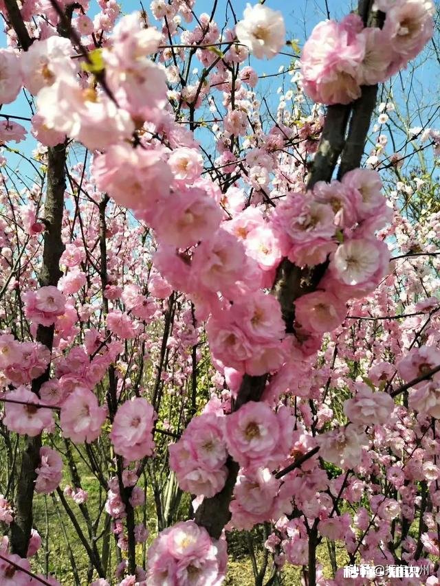 朋友说以前你是他梦中情人。后来你发现他老婆很像你。你会怎样