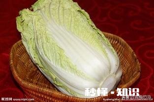 为什么现在的一些大白菜外边看着没问题而中间的芯是烂的