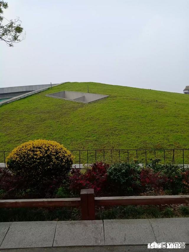 去过很多地方或国家见识真的会不一样嘛