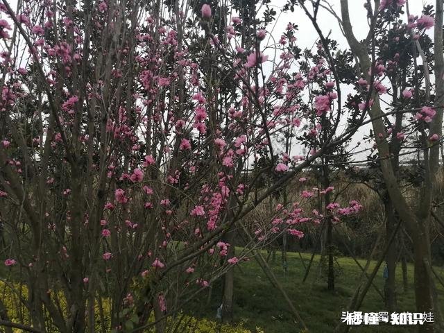 兴趣认证，四个优质回答过了，下一步怎么做