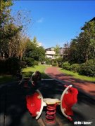 在社会活动中，女性先动手打人事例频出，对此你怎么看