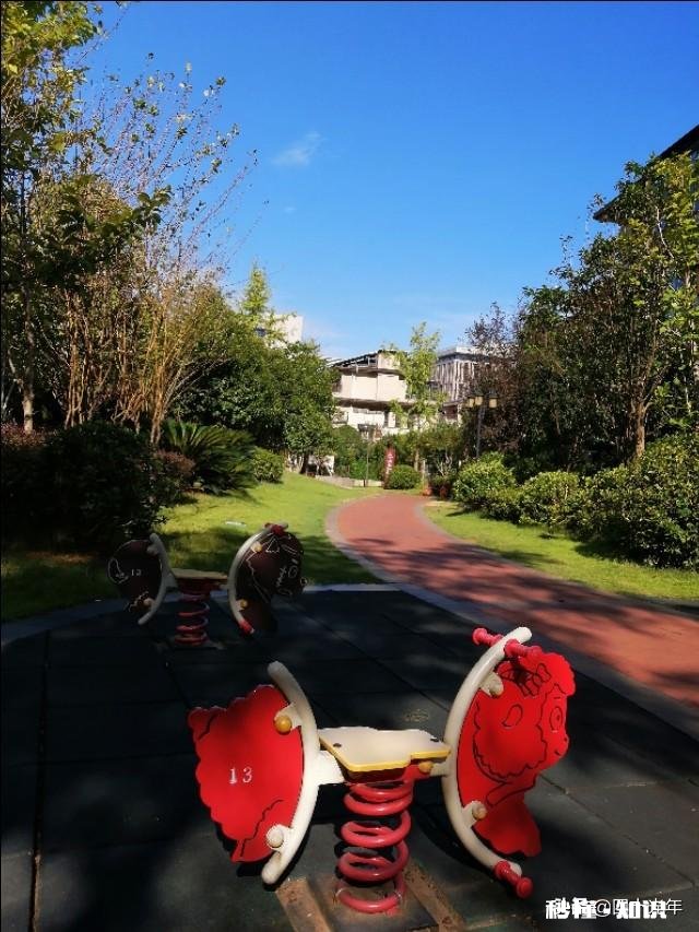 在社会活动中，女性先动手打人事例频出，对此你怎么看